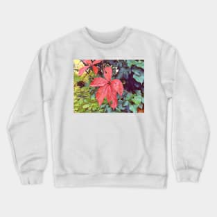 Autumn leaves in a Swiss forest Crewneck Sweatshirt